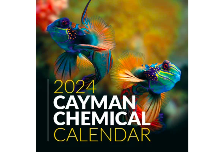 TrySpree 2024 Cayman Calendar for Free