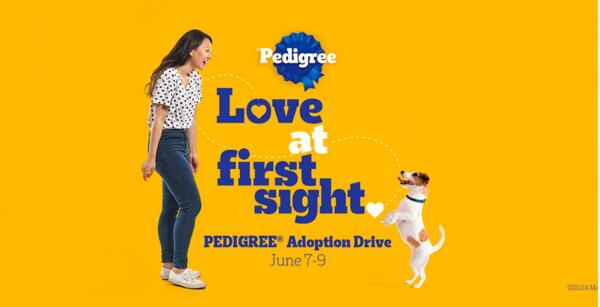 Dog Adoption with Pedigree Adoption Drive on June 7th - 9th for FREE!