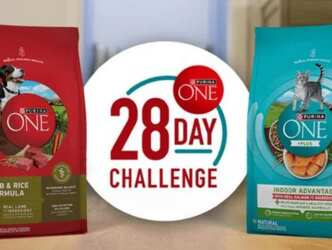 Take the Challenge: Nestlé Purina 28 Day Sweepstakes!