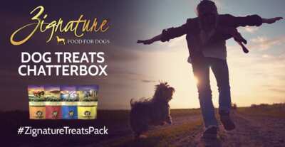 Tail-Wagging Goodness: Free Zignature Dog Treats Chatterbox Kit!