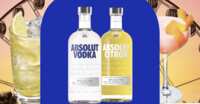 Score a VIP Coachella Experience! Absolut Vodka Sweepstakes!