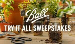 Big Prizes Await in the Newell Brands Ball Try It All Sweepstakes!