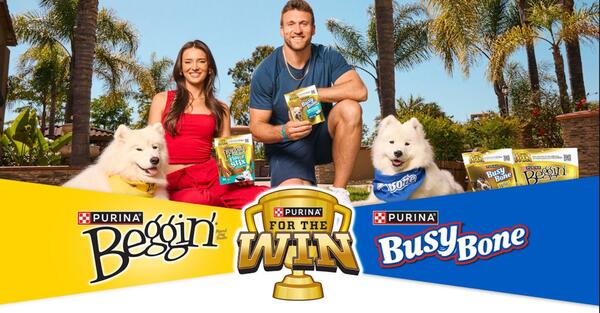 The Bone-anza of Sweepstakes: Win Cash, Dog Treats, or a Walmart Gift Card!