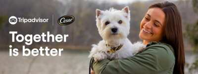 Furry Friends Welcome: Enter to Win a Pet-Friendly Hotel Stay from Cesar!