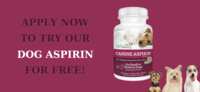 Aches & Pains? Help Your Dog with Free Vetality Dog Aspirin!