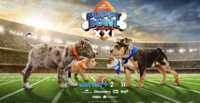 A Tail-Wagging $10K Awaits! Join the Valpak Puppy Bowl Fun!