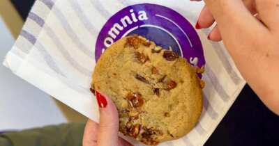 Indulge in a Free Insomnia Cookie This December 4th!