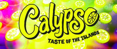 Win a Year’s Supply of Calypso! Enter the Sweepstakes Now!