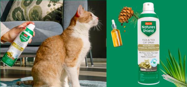 Protect Your Feline Friend—Free Hartz Nature's Shield Flea & Tick Spray!