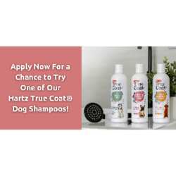 Score a Free Hartz Dog Shampoo for Your Dog!