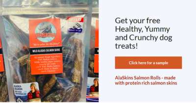 Delicious and Nutritious: Free AlaSkins Salmon Skins Dog Treats Sample!