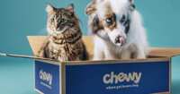 Super Bowl Victory = Free Treats for Your Pet from Chewy!