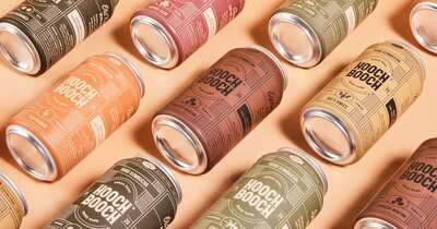  Belly up for Booch: FREE Can of Hooch Booch at Target!