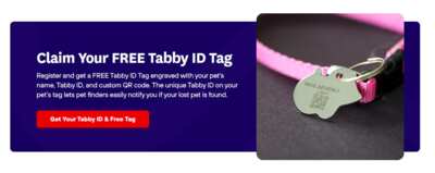 Meow-tastic Deal: Free Personalized Tabby Alert Pet ID Tags!