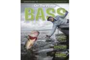 Catch the Latest Tips & Tricks: Free BASS Special Edition Magazine!