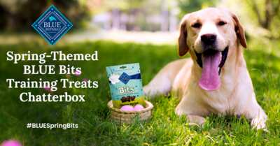 Make Training Fun! Free Blue Buffalo BLUE Bits Spring Treat Kit!