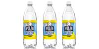 A Free Sparkling Treat – Polar Seltzer Awaits You!