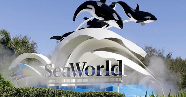 Teachers can get a SeaWorld Teacher Fun Cardfor FREE!