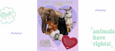 Stand for Animals: Claim Your Free ‘Have Heart’ Sticker!