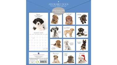 Start 2025 with Smiles – Free Adorable Dog Calendar!