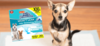 Odor-Free Home: Free Hartz Protection Dog Pads for Your Pup!