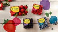 Fresh Berries for a Year – Enter to Win Driscoll's Berries!
