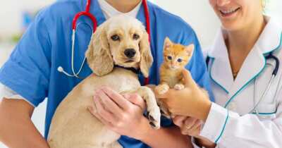 Your Pet Deserves It: Free Vet Exam at Petco Vetco!