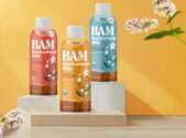 Exclusive Offer: FREE Bam Product with Rebate!