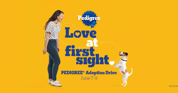 Free Dog Adoption with Pedigree Adoption Drive on June 7th - 9th!