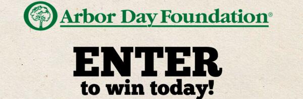 Sow the Seeds of Sustainability: Win a Free Tree on Arbor Day!