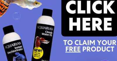 Enhance Your Water Quality: Free Aquarian Water Treatment Sample!