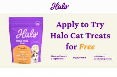 Sample of Halo Freeze-Dried Cat Treats for FREE