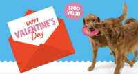 A Tail-Wagging Giveaway! Win $200 in Dog Toys & Treats