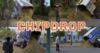 ChipDrop Delivers Free Wood Chips Straight to You!