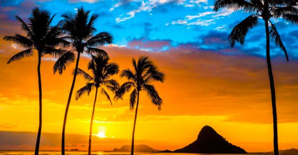 Say Aloha to Paradise: Win a Trip to Hawaii from Warners!