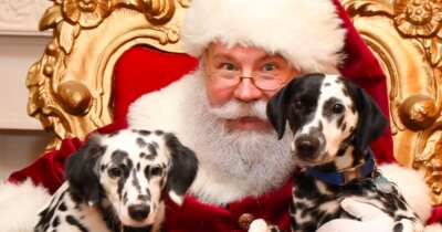 Santa’s Coming to PetSmart! Get a Free Photo with Your Furry Friend!