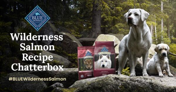 Free Blue Buffalo Wilderness Salmon Recipe Chatterbox Kit – Claim Yours Now!