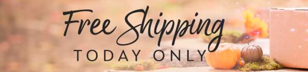 Magic Delivered – Enjoy FREE Shipping from the Disney Store!