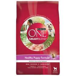 Try Purina ONE Dog Food for Free – Don’t Miss Out!