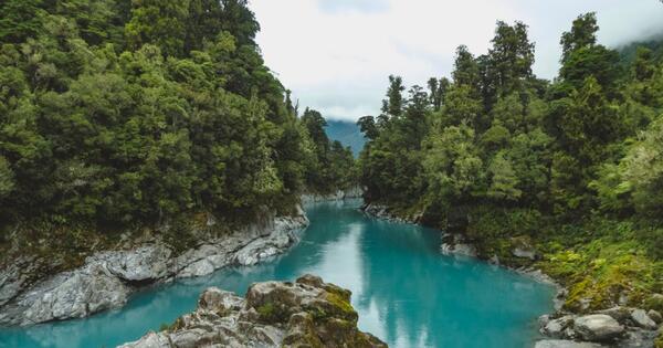 Enter to WIN a Trip to New Zealand Worth $7,000