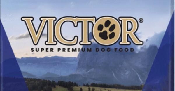 Sweepstake: Win a VICTOR Super Premium Pet Food Adventure for a YEAR